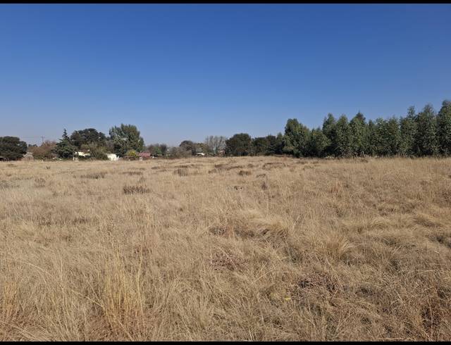 16,225M² SMALLHOLDING FOR SALE IN MIDDELVLEI AH
